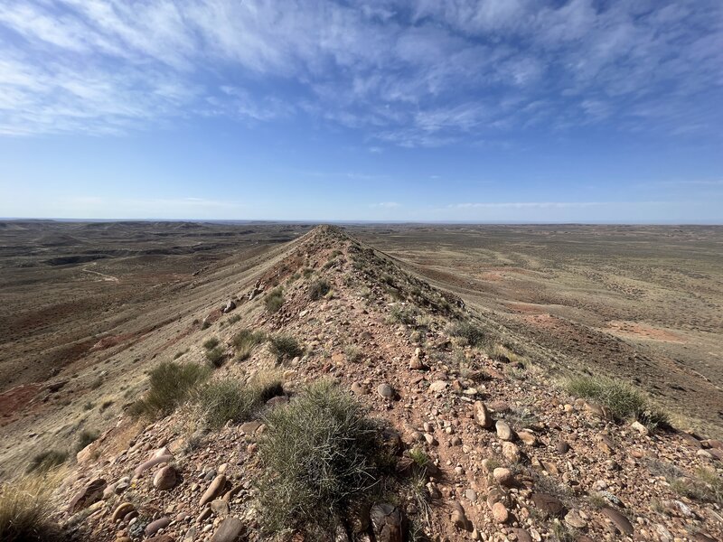 Straight razor section of trail on top of bluff, before drop off.