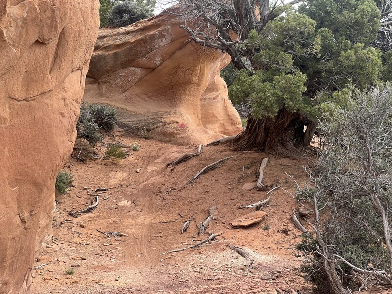 Next to large rock formation and rock overhang.