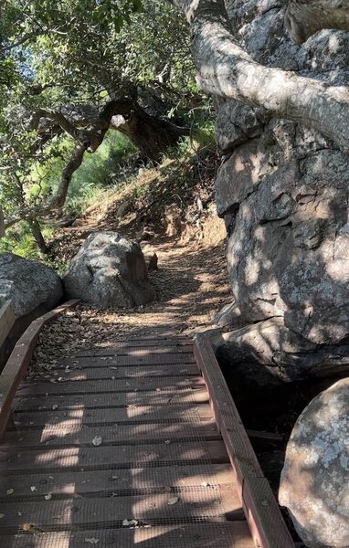 One of the bridges on the downhill.