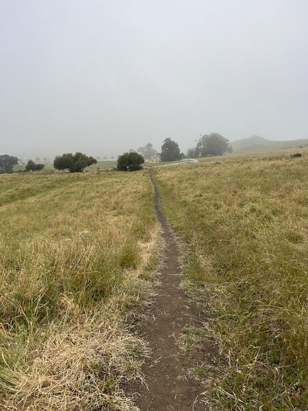 Final stretch back to parking lot on typical misty early morning.