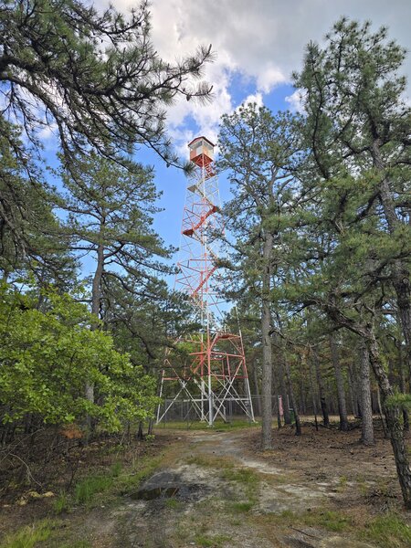 Cedarbridge Fire Tower