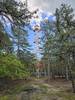 Cedarbridge Fire Tower