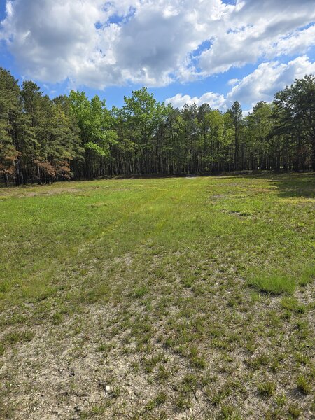 Typical cleared field.