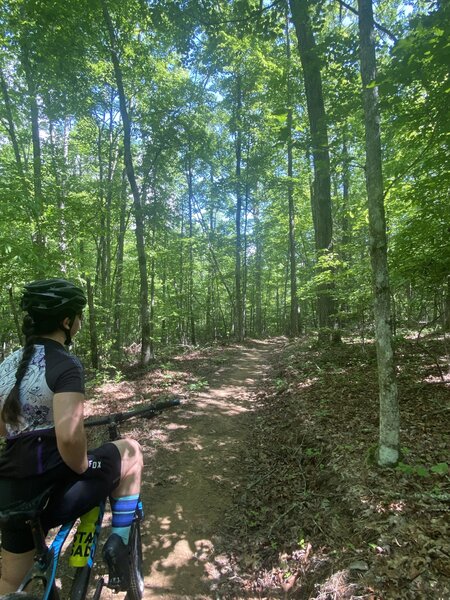 Mid spring in North Georgia.