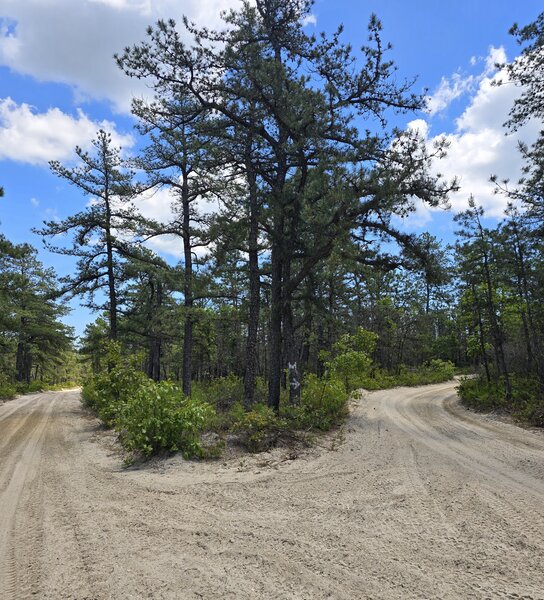 Access trail to mountain.