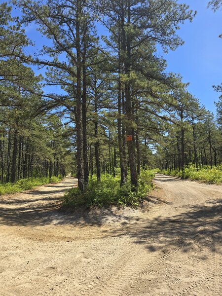 Fork with private property sign veer left for mountain.