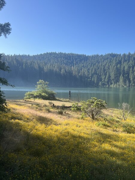 Chimney in the distance in the lake - view from northeast portion of trail.