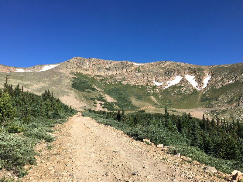 Looking up towards the top.