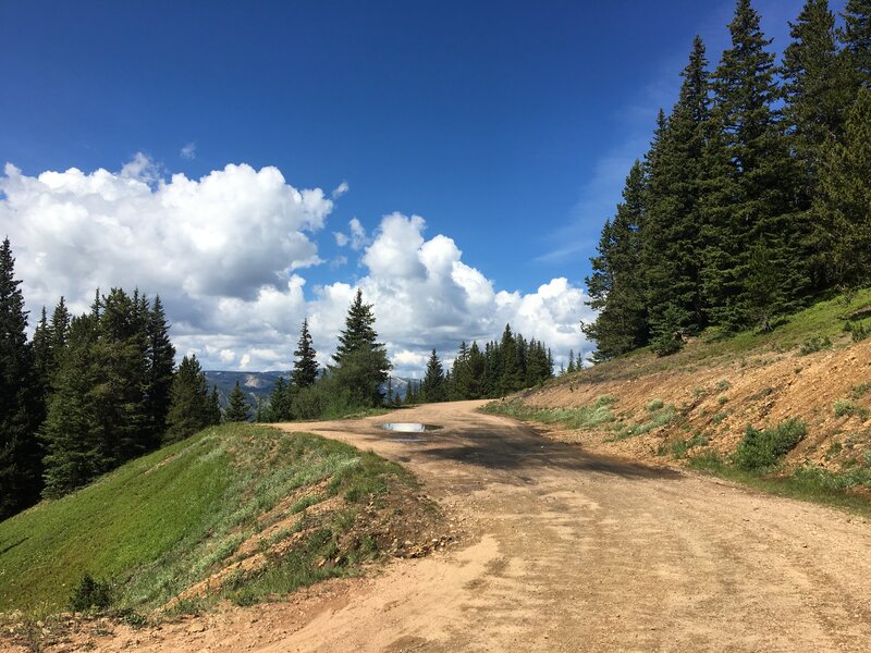 The West side of the road back down to Winter Park.