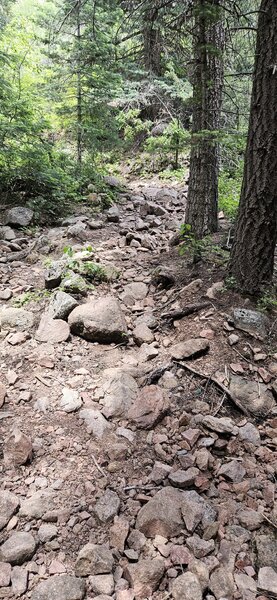 Expect rock gardens along much of the trail.