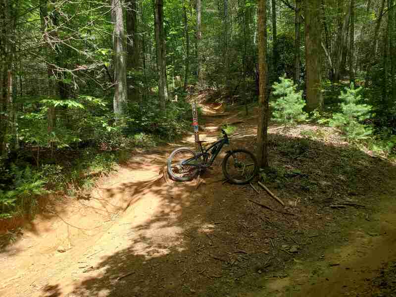 Middle to Lower Black Mountain Junction