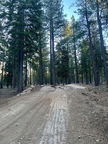 One of the smaller jumps about halfway through the trail.