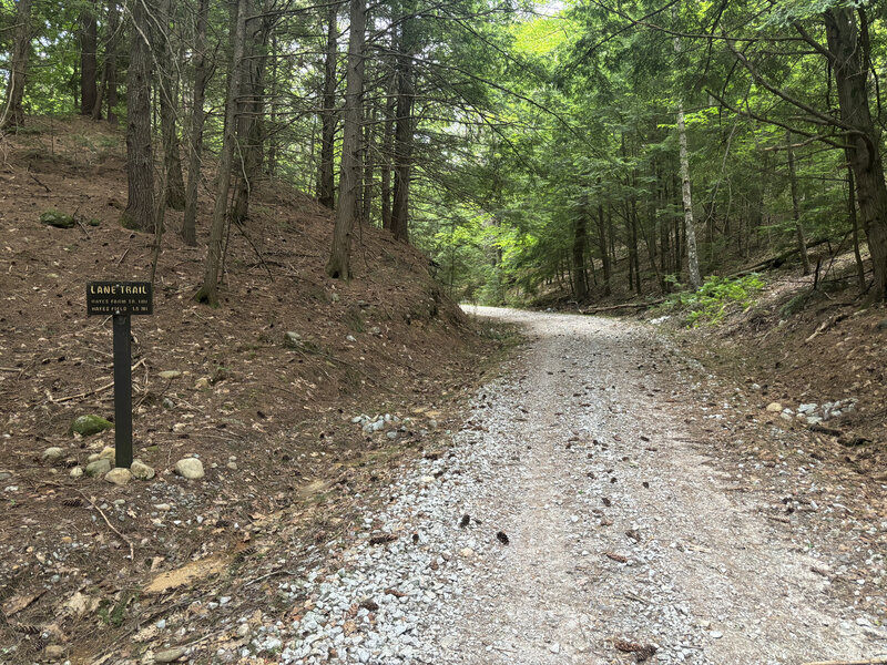 Beginning of the Lane Trail