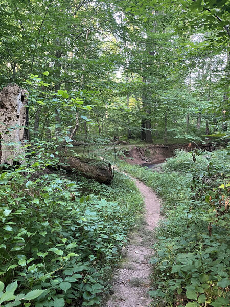 Singletrack