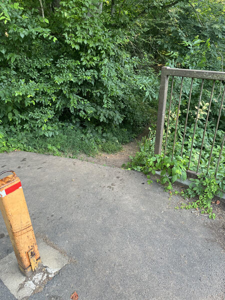 Do not miss the trail from the gravel path just after crossing the bridge over one of the streams.