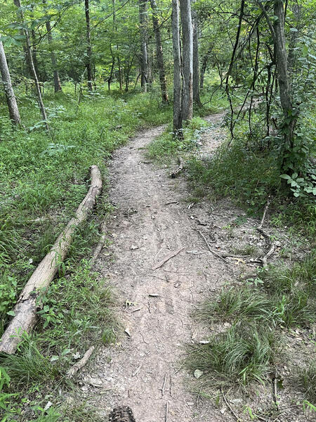 More Singletrack