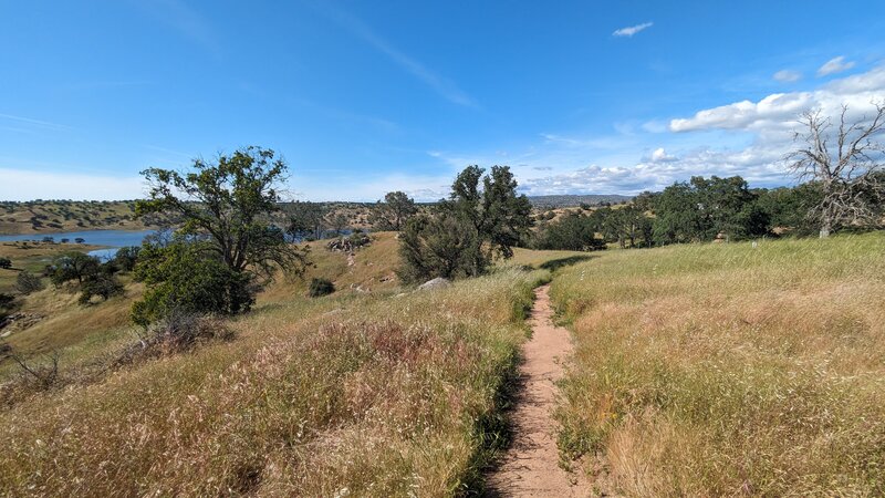 Singletrack trail