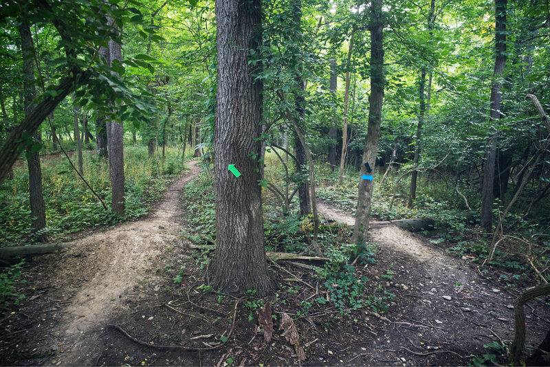 Trail split markers at the South entry