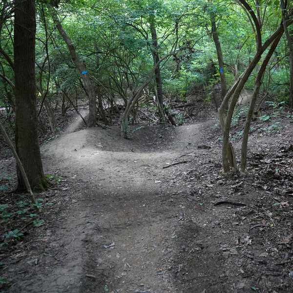 Small lip into the bowl feature and blue trail markers.