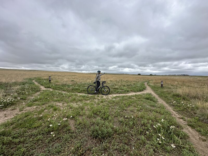 Amazing prairie ecosystem ride.