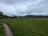 Nice flat area in the meadow.