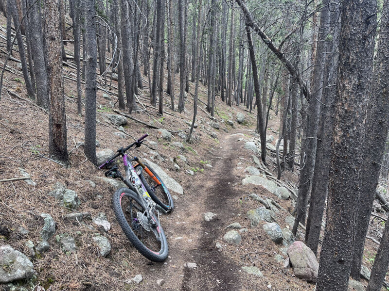 Access the downhill singletrack "Pulaski Trail" from Argentine Central RR Grade.