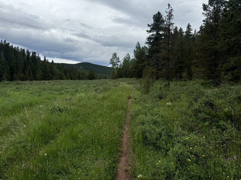 Heading up towards North Elk.