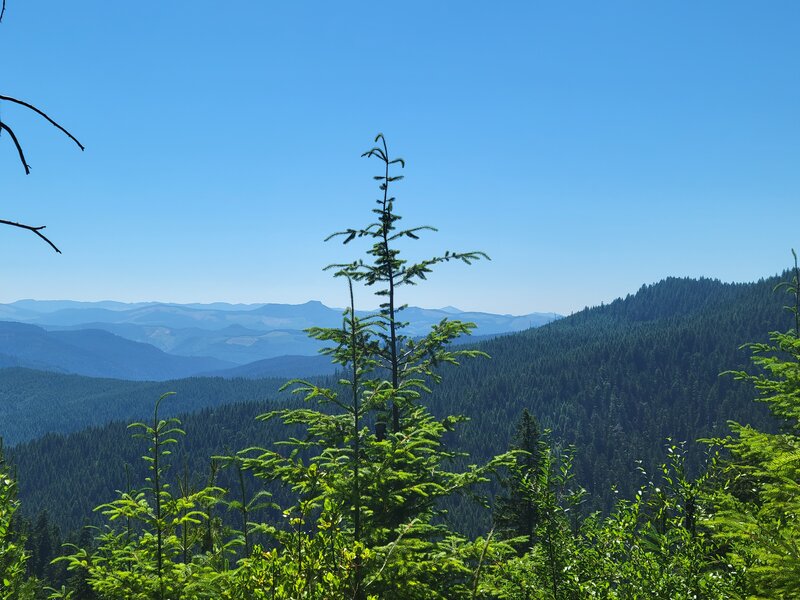 Beautiful view from the climb on hardesty trail!