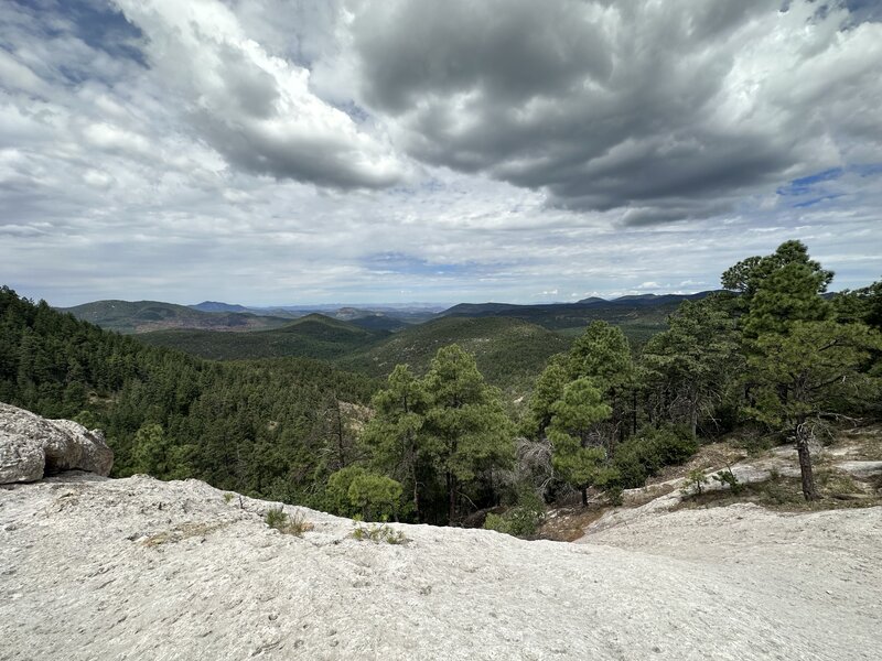 Vista from the north, looking at PA Mountain, Bear Mountain, Devils garden, Tadpole Ridge and way out to the Mogollon and Aldo Leopold Wilderness.