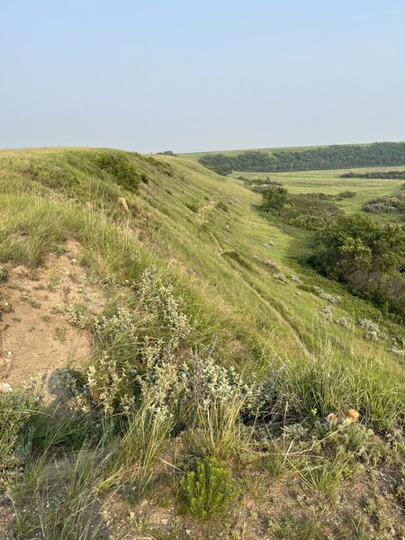 Looking down at End of the Re'Verse from hill above.