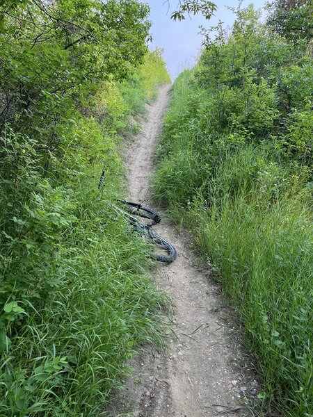 Big Log trail. Steep climb