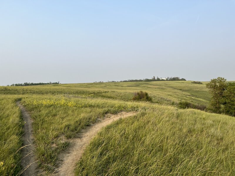 Mini Flow East trail. Entry and exit.