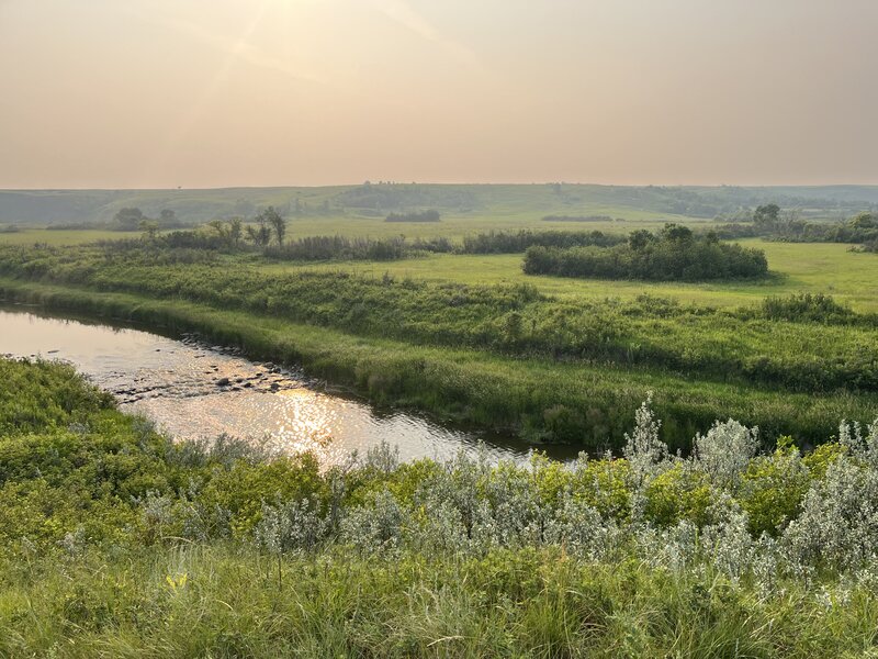 View of creek from "Take Your Lumps" trail.