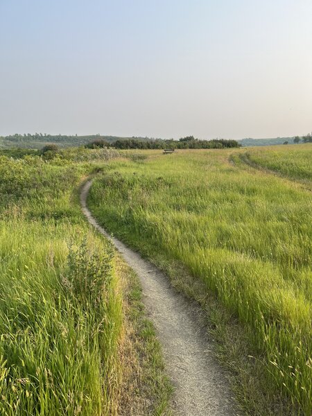 "Homesteader" trail view from bridge.