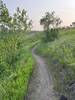 "Imbalanced" trail