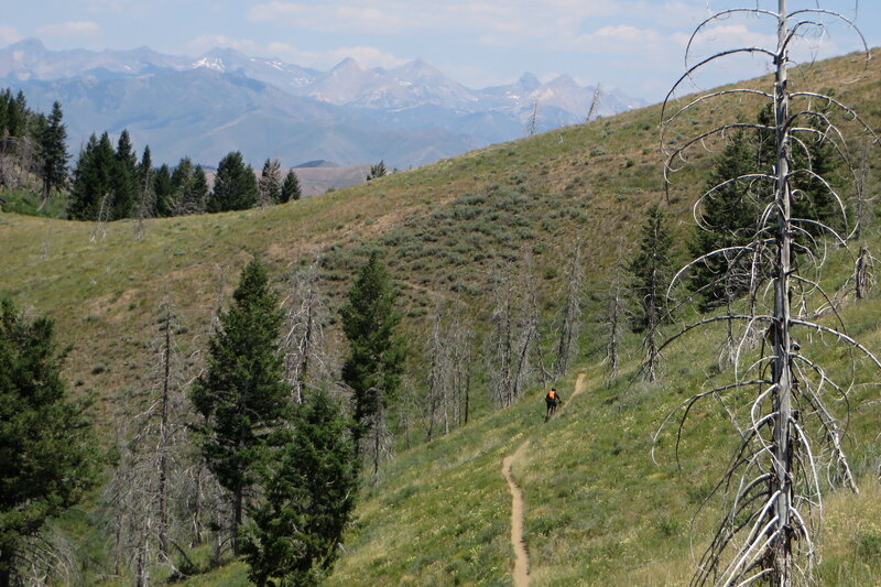 Great views starting down from Greenhorn Trail.