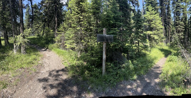 The junction of the Reid Divide (right) and Tally Gorge (left) descents.