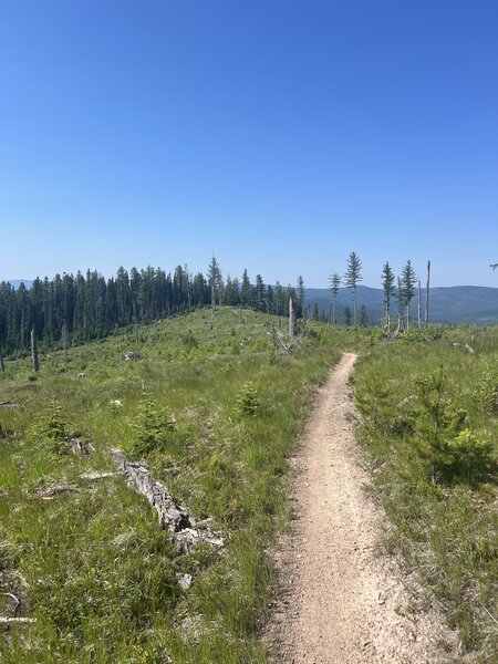 Almost to the junction headed South on Reid Divide.