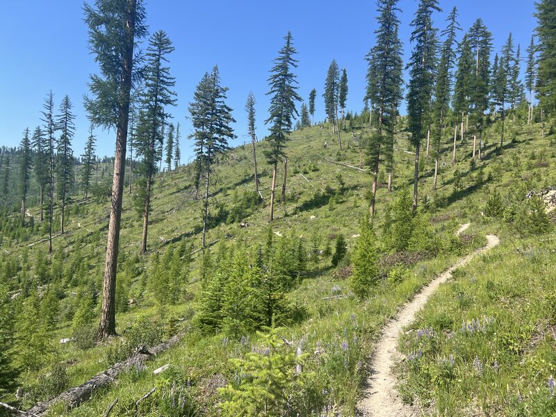 The Bill Creek descent.