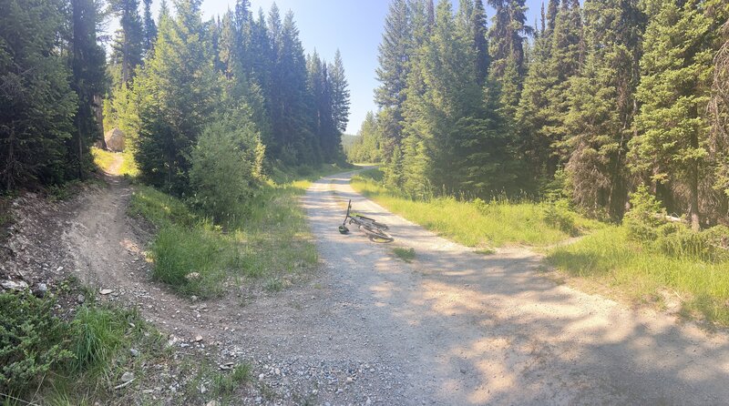 The bottom of the Bill Creek descent. Turn left and head down FS Rd 313 and then an immediate left back up FS Rd 2942 to the top of Reid Divide. The trail to the right is the Ashley Mountain Trail.