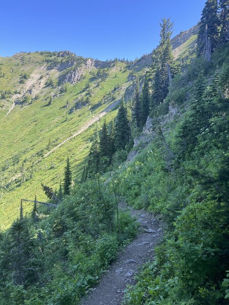 First look at the slide and the Peter's Ridge switchbacks.