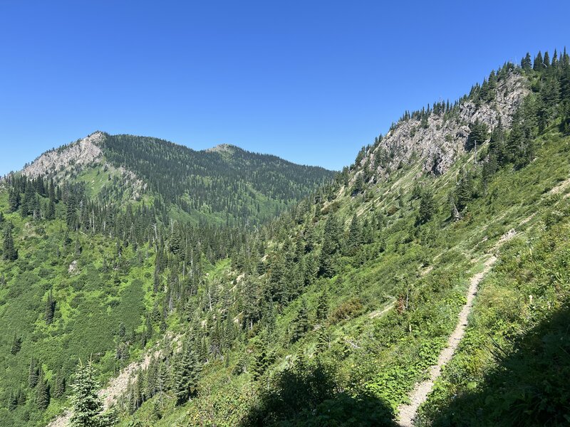 Strawberry Mountain sidehill looking back at your descent from Peter's Ridge.