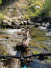 Swim hole/waterfall at the end of the trail to get on Lightning Creek Road.