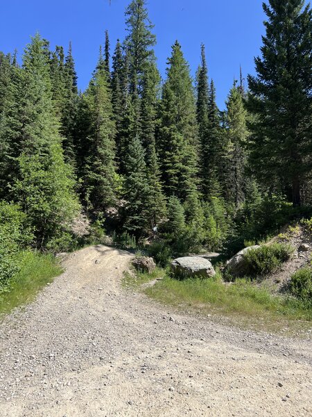 Start your ride up the 4 wheeler track. Hope you're good at riding on rolling rocks.
