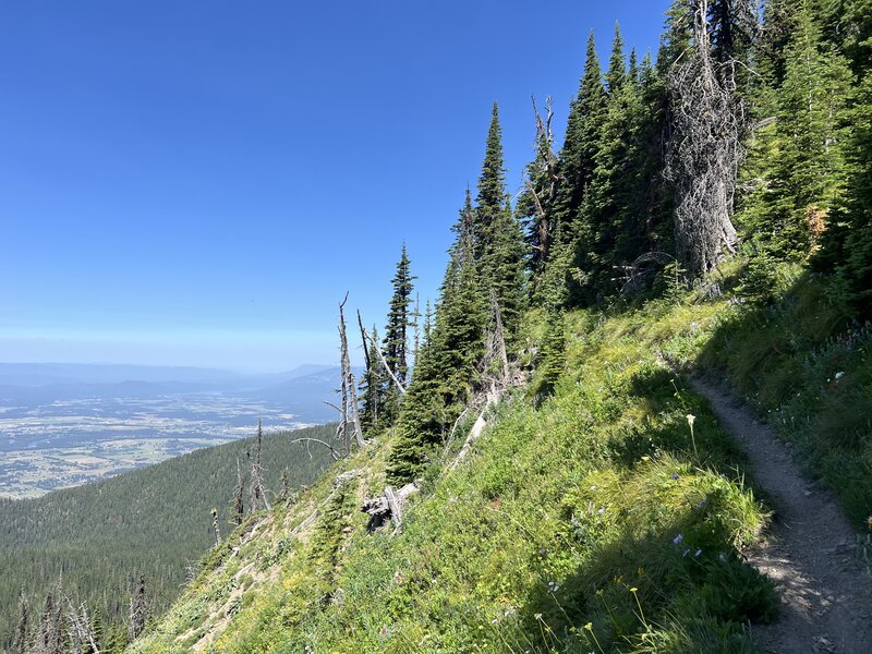 A great shot of much of the Alpine 7 trail sidehill terrain looking down into the Flathead Valley.