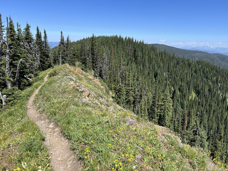 Good shot of some ridge riding as you approach Columbia Mountain.