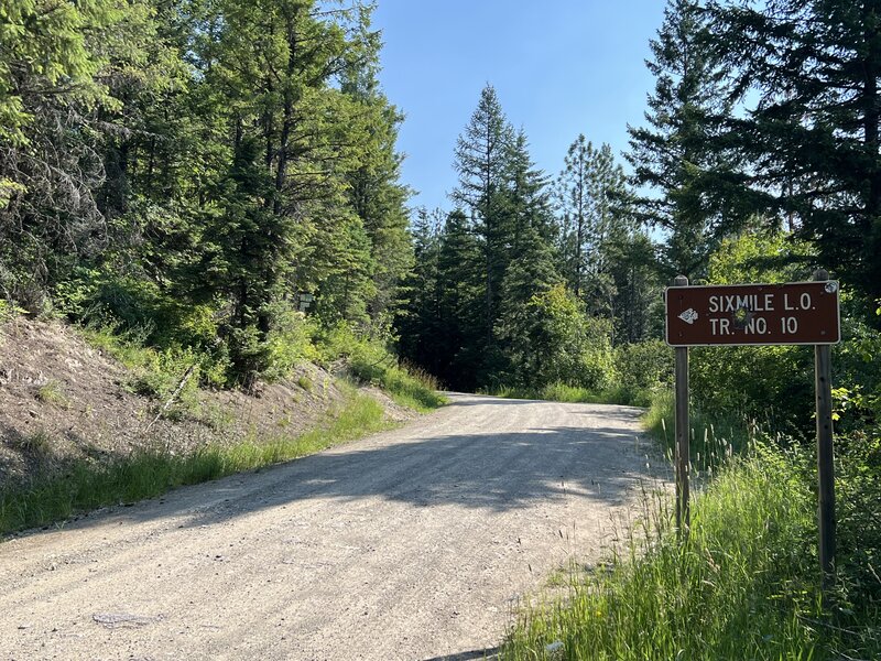 After a few miles climbing the Sixmile Road, start climbing the Sixmile Mountain Trail.