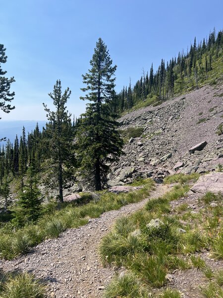 Decision time at the junction of Alpine Trail #7: climb to the Sixmile Peak or start your descent.