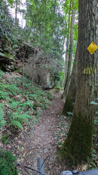 Tight squeeze o the Mont Chateau Trail (S)