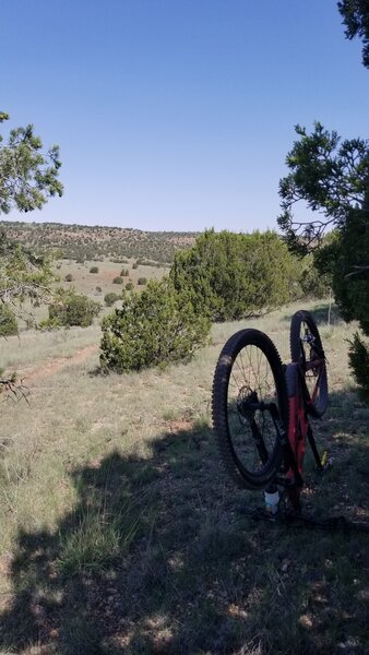 Flatted, luckily near a shade tree.